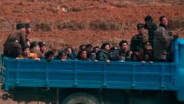 Campesinos son transportados a los campos al noroeste de Pyongyang.