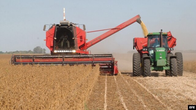 Virginia vendió a Cuba productos agrícolas y alimentos por valor de $65 millones el año pasado.
