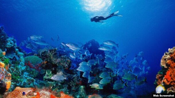 Arrecifes de coral en Playa Santa Lucía, Camagüey, Cuba.