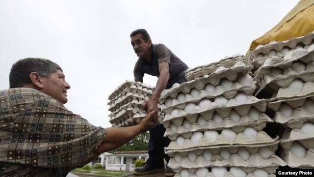 Los cartones de huevos de 30 unidades se vendían en el mercado negro por entre 35 y 40 pesos cubanos.