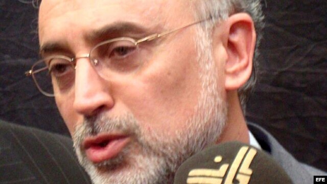 Fotografía de archivo del ministro de Asuntos Exteriores iraní, Alí Akbar Salehi. EFE/KHIDER ABBAS