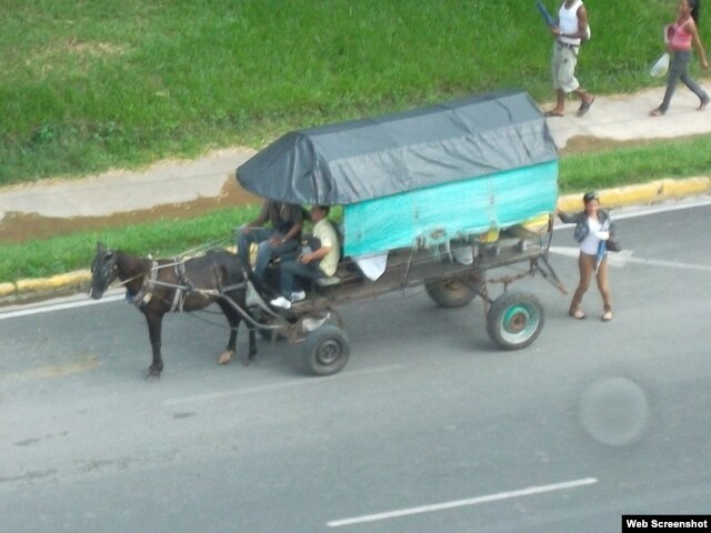 Los caballos deben tirar coches muy pesados