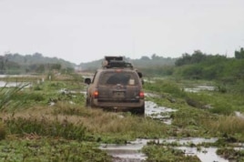 Vista del Impenetrable chaqueño.