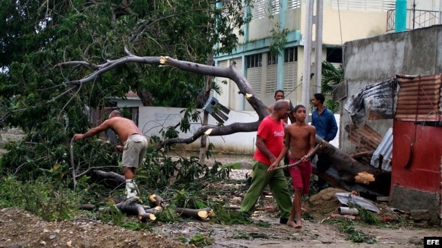  Varias personas trabajan talando árboles derribados por el paso del huracán Sandy por el poblado de Caimanera, en la provincia de Guantánamo (Cuba). 