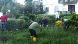 Labores de chapea en el Rpto.Santa Catalina, Santa Clara