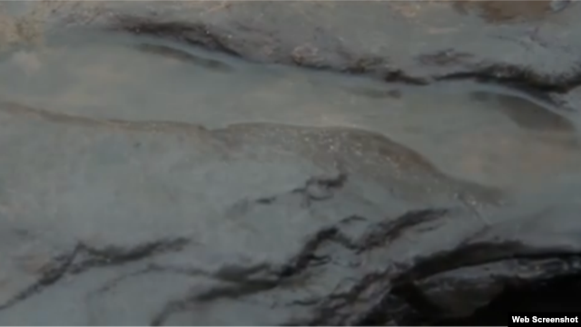 Huella fosilizada de 800.000 años de antigüedad.