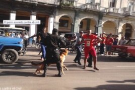 Juliet Michelena fotografió a la policía usando perros contra civiles (Cubanet)