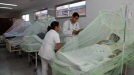  Fotografía de archivo de un grupo de pacientes que padecen dengue. EFE/Andrés Cristaldo