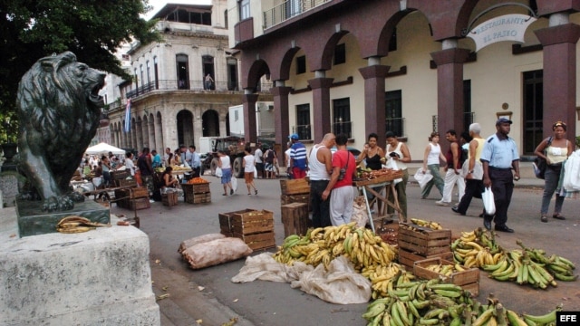 Varias personas compran alimentos en una feria organizada en el Paseo del Prado. Foto de archivo