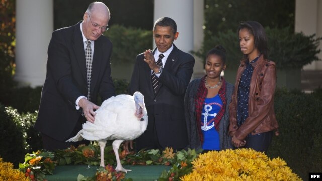 El presidente de Estados Unidos, Barack Obama (2-i), sus hijas, Sasha (2-d) y Malia (d), y el presidente de la Federación Nacional de Pavos, Steve Wilardsen (i), indultan al pavo Cobbler, para seguir con la tradición del Día de Acción de Gracias. 
