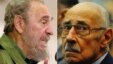Castro y Videla, no tan extraños compañeros de cama