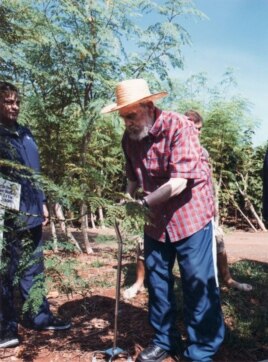 Fidel Castro en labores agrícolas con la moringa.