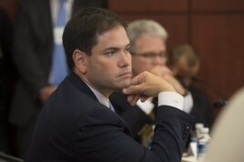 Senador Marco Rubio.