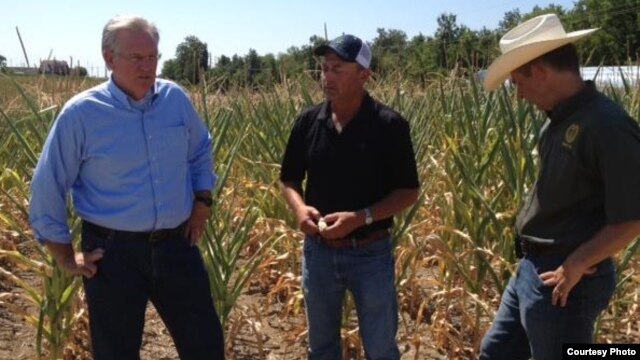 El gobernador de Missouri, Jay Nixon (i), visita una granja del estado afectada por la sequía y el calor en 2012.
