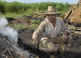 Haciendo hornos para carbon