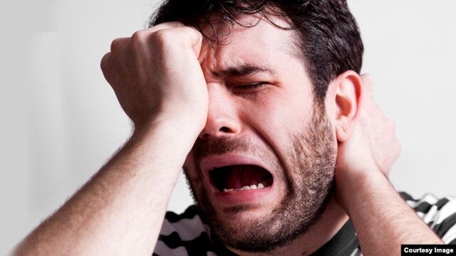 Efectos de la cebolla.