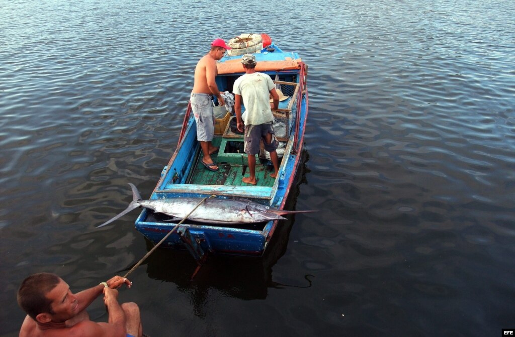 Illegal fishing on the rise in Cuba