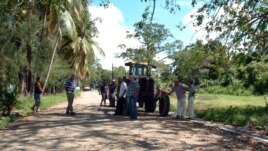 Grupo de campesinos cubanos, a punto de presentar sus solicitudes para recibir en usufructo tierras ociosas del Estado.