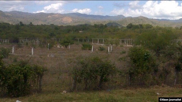 La Pollera de Trinidad Foto René Miranda