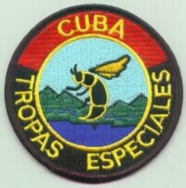 Insignia de las Tropas Especiales conocidas como Avispas Negras