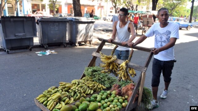 HAB101. LA HABANA (CUBA), 26/09/2013.- Dos jóvenes cuentapropistas cubanos venden verduras en las calles de La Habana (Cuba). 