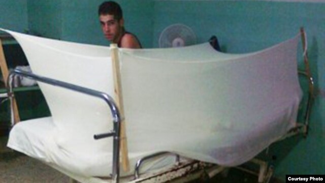 Tratamiento contra el dengue en Cuba: mosquiteros, abundante líquido y pastillas para la fiebre y el dolor