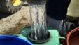 Niña que falleció en un accidente tenía el sueño de que millones de personas tuvieran agua potable