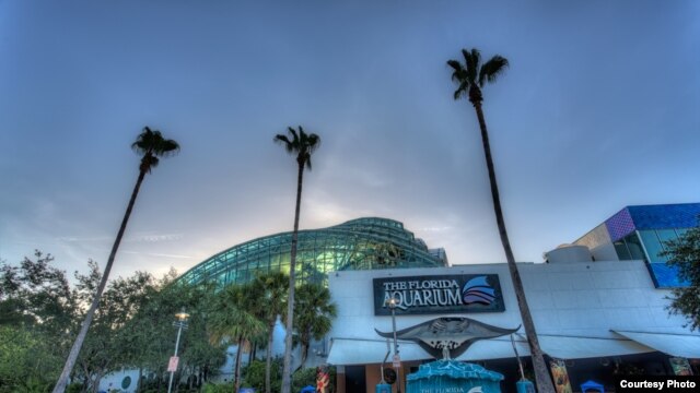 Entrada a las instalaciones del Acuario de Florida situado en Tampa.