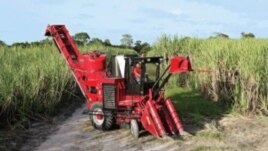 combinada canera