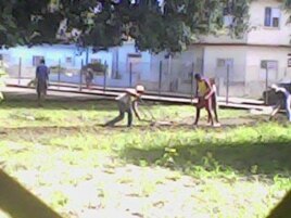 Reporta Cuba Foto Ramón Zamora Niños de escuela especial en Holguín trabajan en labores agrícolas