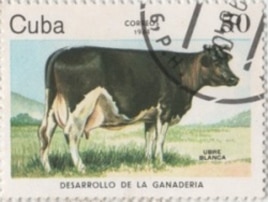 Sello conmemorativo por Ubre Blanca