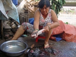 Tuyet, vendedora en Dong Thap (Vietnam), prepara los roedores para un cliente.