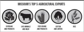 Missouri exporta soya, carnes, granos, algodón y arroz