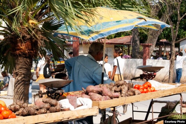 Alimentos a altos precios