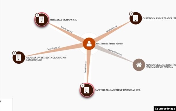 Un esquema muestra los vínculos de la abogada cubana y las empresas.