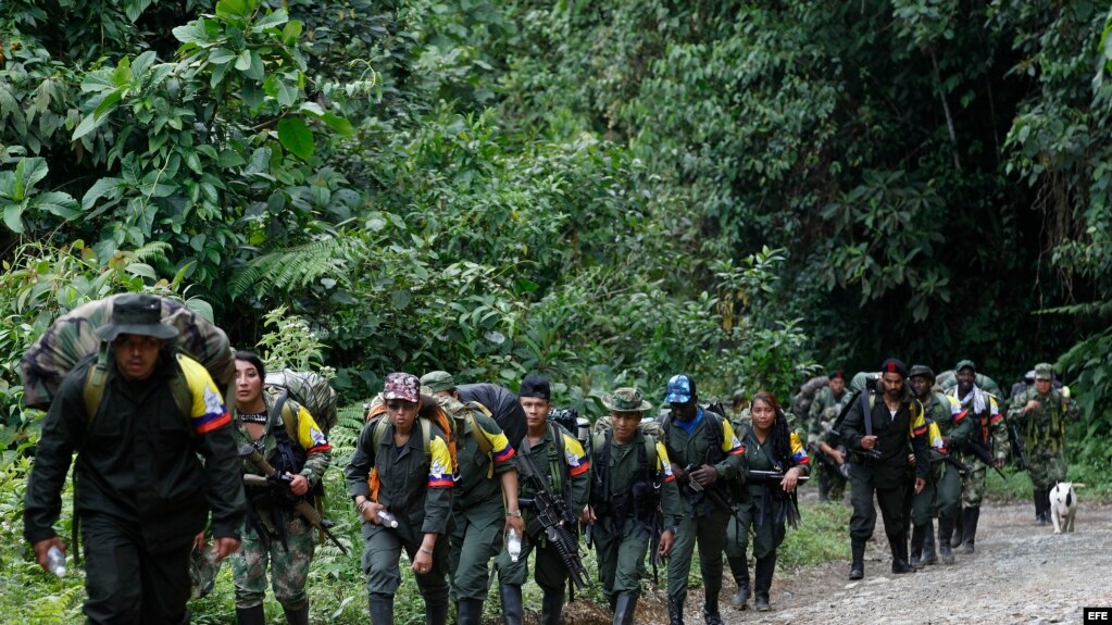 Columna de las FARC. Archivo.