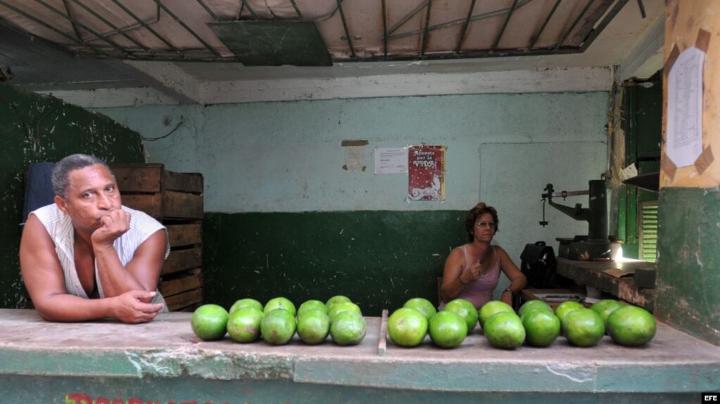 Un trabajador de un pequeño comercio agrario cubano ofrece sus productos.