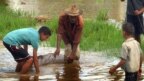 Permiten a campesinos cubanos subcontratar trabajadores