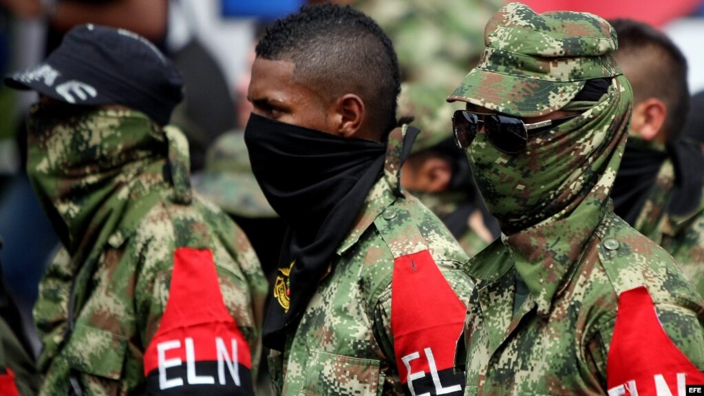 Miembros desmovilizados del Frente de Guerra Suroccidental del ELN. (Archivo)