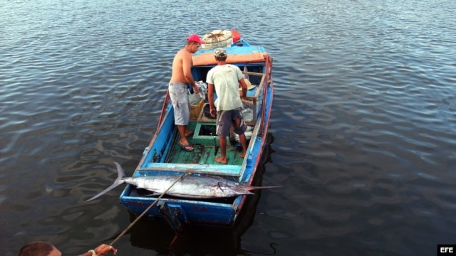 Fishermen in Havana's bay