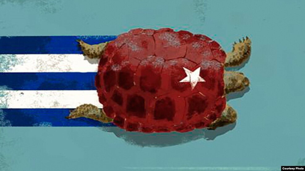 Tortuga que utilizara el autor en su blog para ilustrar historia.